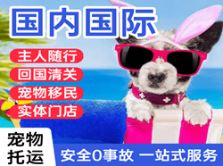 贵阳国际宠物托运 【国